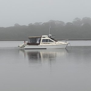 Anchored in a cove at the Guana Wildlife Management Area. Betty said it has the prettiest trails she\'s ever run in Florida