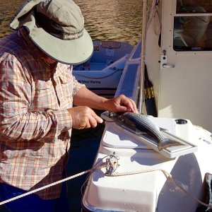 Steve cleans the stripers!