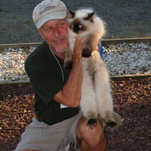The other cat