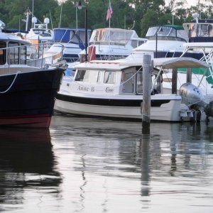 The Anne B