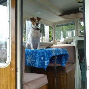 Marla on Soapy Joe watching all the C-brats going by.