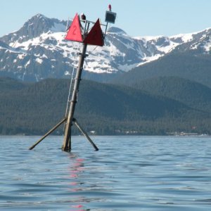 Media 'Eagle perched on Gibby Rock AtoN' in album 'Sentinal Island & Benjamin Island in South Lynn Canal'