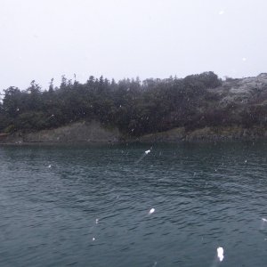 Snow Boating. Will it be a white Christmas?