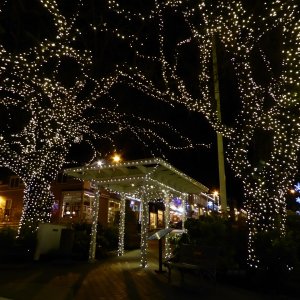 Friday Harbor Christmas Lights