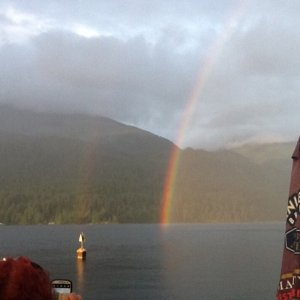 Media 'Rainbow from the Backeddy Pub' in album 'Grandkids.   Ryder and Brutus'