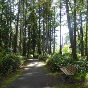 Trail to the South side of Jones