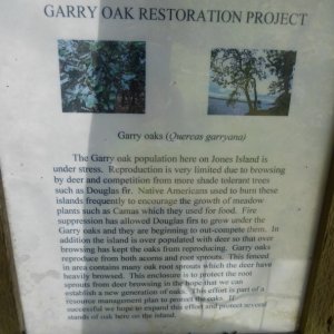 Media 'Garry Oak restoration' in album 'Departing Friday Harbor Sunday morning. At this speed it took 1.5 hours to get to Jones Island'