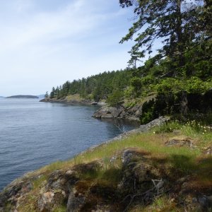 Media 'Looking northwest. Still a long hike to go, this island is bigger than I realized!' in album 'Departing Friday Harbor Sunday morning. At this speed it took 1.5 hours to get to Jones Island'