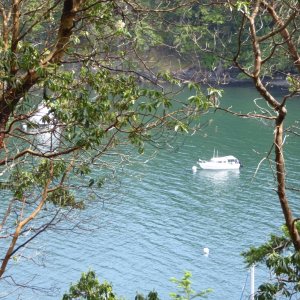 View of boat from trail above