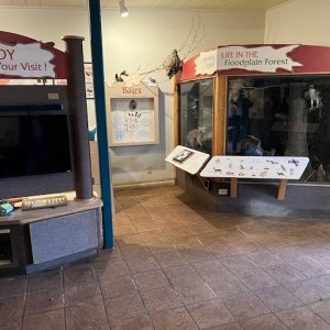 Hontoon Park building damage
