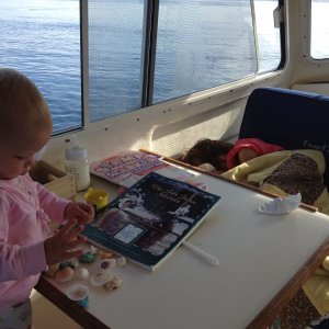 Media 'kid friendly tomcat' in album 'Sea Trial in SF Bay, Bay bridge ahead'