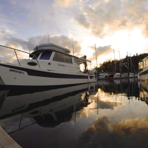 friday harbor may 2014