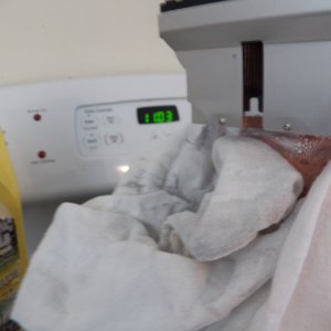 By 11:03 I have frost at the top of the copper tube.  The towel actually froze to the copper pipe, so I'll have to keep produce away from it when the cooler is complete.