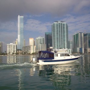 Wild Blue in Miami