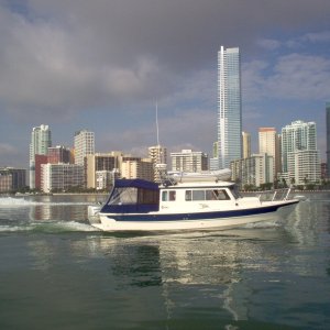 Wild Blue in Miami 2