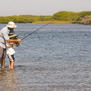 Light tackle -- fish a minute -- in the Magdalena Bay mangroves.