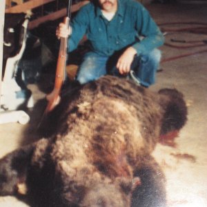 Bear I shot in my garage (a few years ago!)
