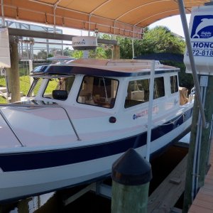25 DORY