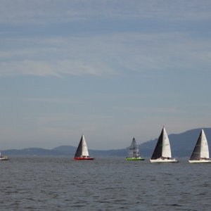 Sailboat racing east of Guemes