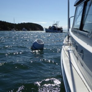 Bouncing around on the buoy in Saturdays winds