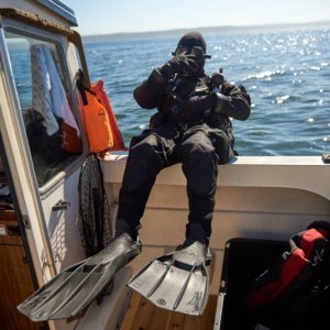 Media 'dsc 7350' in album 'Devilfish'