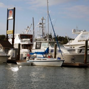 On the dock at A & B Marina, Key West, Fl.