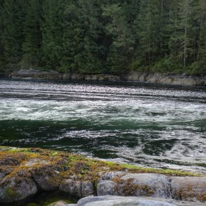 Princess Louisa Inlet, July, 2010 - 107 - Malibu Rapids