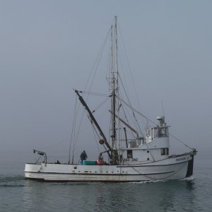 A foggy day at Bodega Bay California