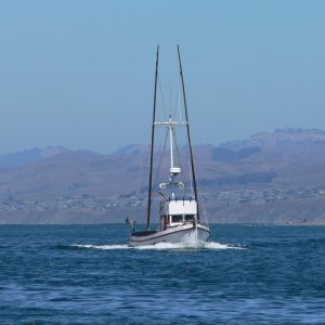 Being followed by a fishing vessel in Bodega Bay