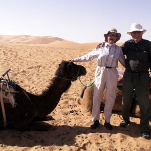 Media 'Our Ships of the Desert' in album 'Halcyon Day'