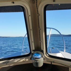 Compass mount