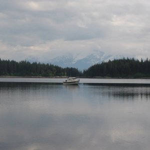 (Juneau_Jason) Boat Harbor, Lynn Canal