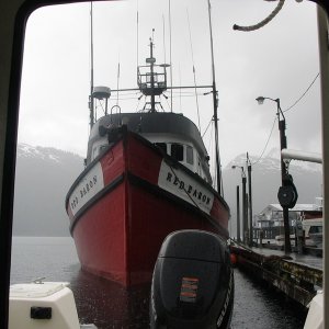 Media '(Juneau_Jason) Transient dock, Pelican, Alaska' in album '(Juneau_Jason) Auke Bay'