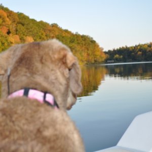Mallory checking out the view