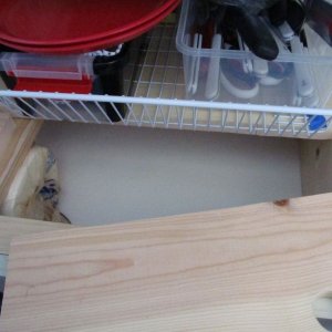 8 under forward section