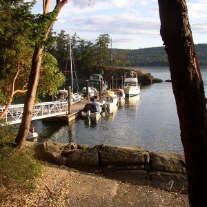 Docks at Conover Cove, Wallace Island