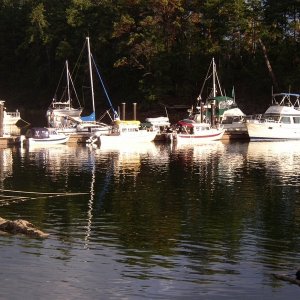 Bambina, Anita Marie, Halcyon and Daydream at Government docks Conover Cove, Wallace Island