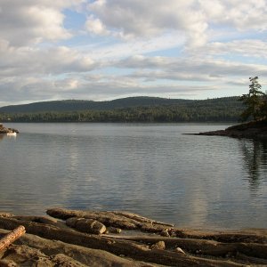 Conover Cove looking out at Houstoun Passage