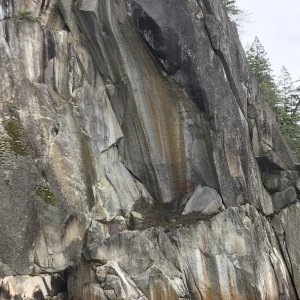 D4-32 Petroglyphs