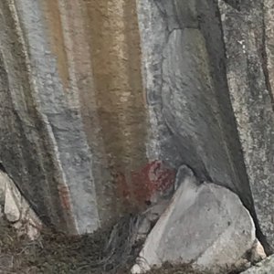 D4-33 Petroglyphs Closeup