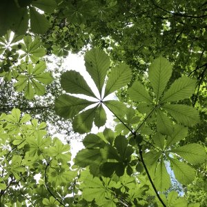 9- Melanie Cove Hike