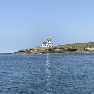 31 - Light House - Patos I