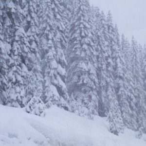 Let it snow