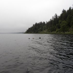 One exception was Rocky Point.  The bolders went out into the water, some just barely touching the surface and others, like this one marked with crab pot buoys, were just under the surface.