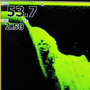 Media 'Here is a screen shot, taken at idle speed, of the bottom.  It rose and dropped like this all the way around the point.' in album 'This is the launch by the Ozette Ranger Station.  I had heard that it was shallow and didn't have a dock, but that has changed.'