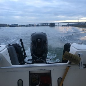 Love the early morning calm