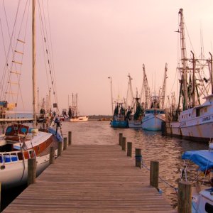 The Town Dock
Oriental, NC