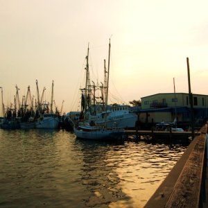 Shrimpers