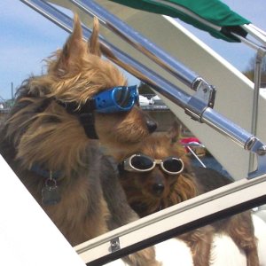 Syd & Torie looking cool