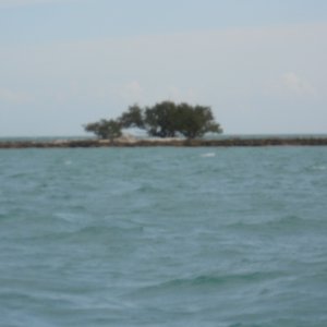 DSCN0099